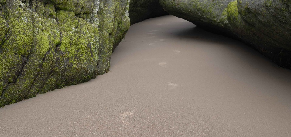 Ups, wo ist denn das Bild hingekommen. 